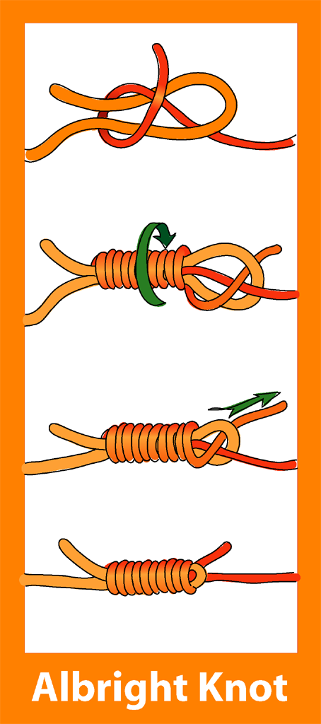 Albright-Knoten