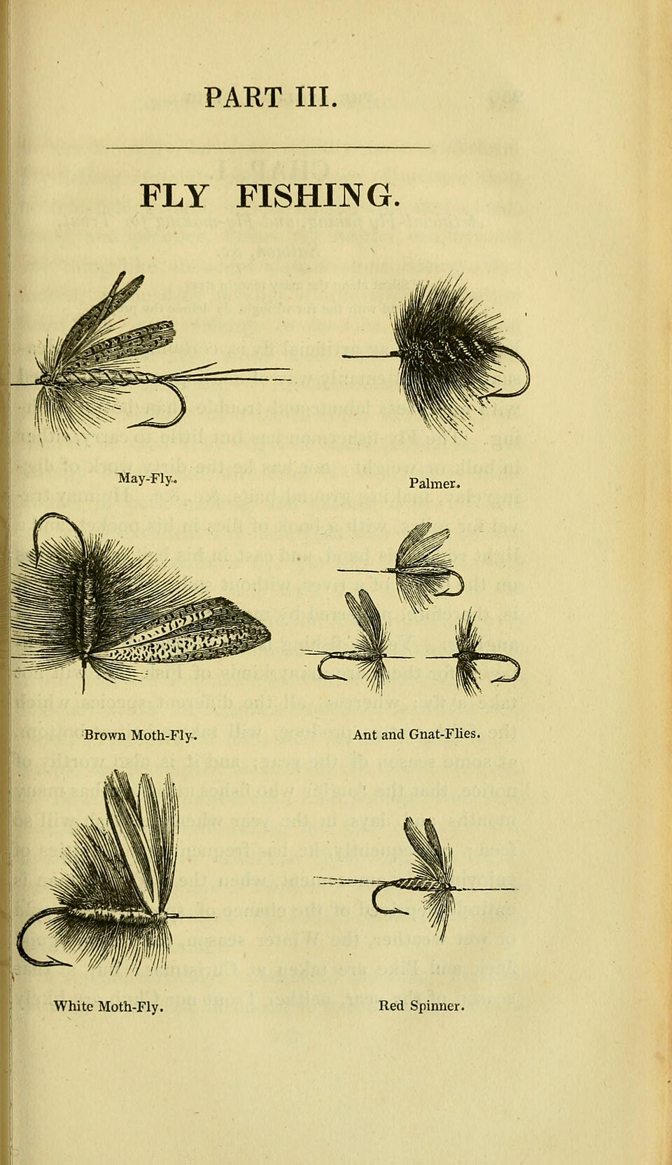 angelguide